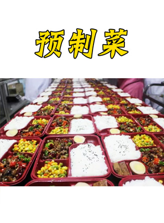 肥（féi）腸-電子秤-提升（shēng）機（jī）8-240E