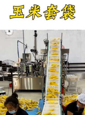 玉（yù）米套袋（dài）